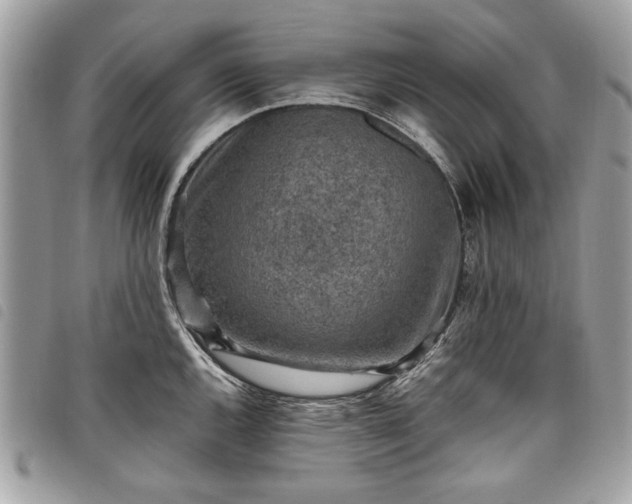 X0000098021144200804071347