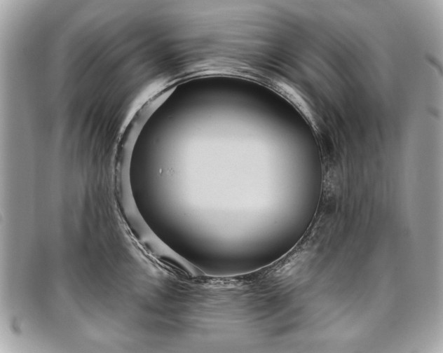 X0000098021146200804071347