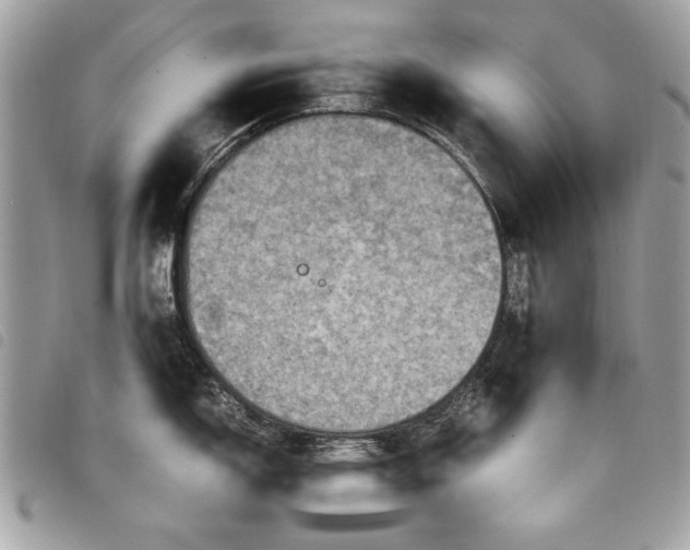 X0000098021150200804071347