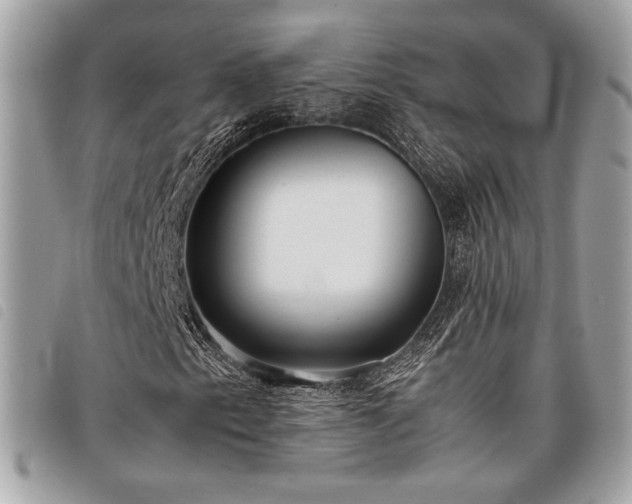 X0000098021153200804071346