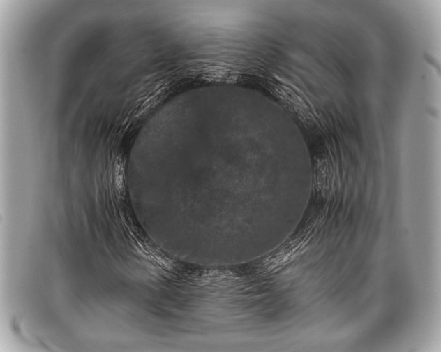 X0000098021154200804071346