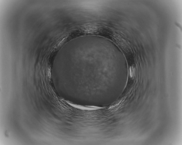 X0000098021155200804071346