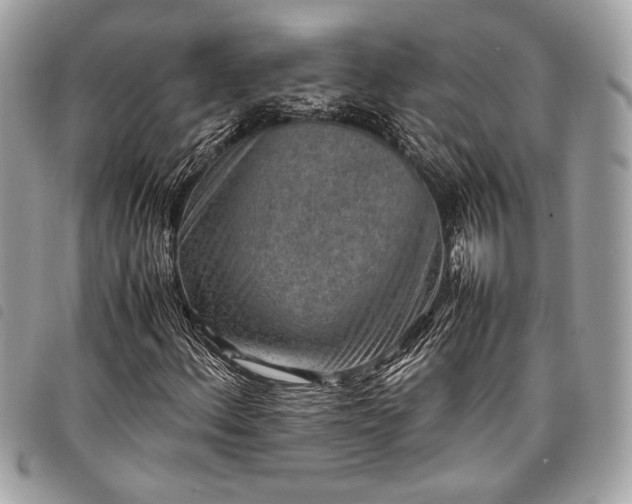 X0000098021156200804071346