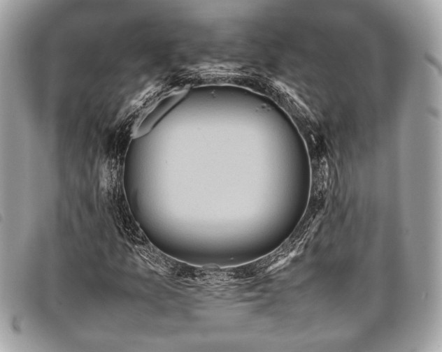 X0000098021157200804071346