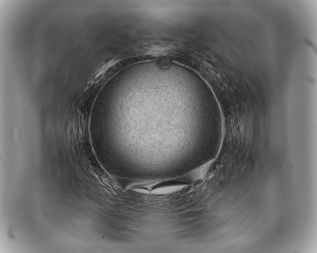 X0000098021158200804071346