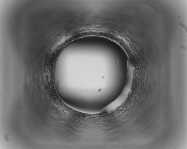 X0000098021159200804071346