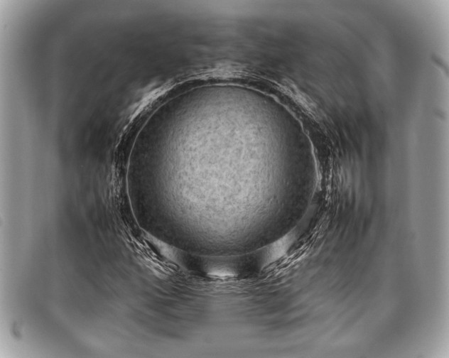 X0000098021160200804071346