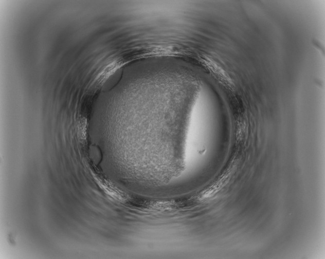 X0000098021161200804071346