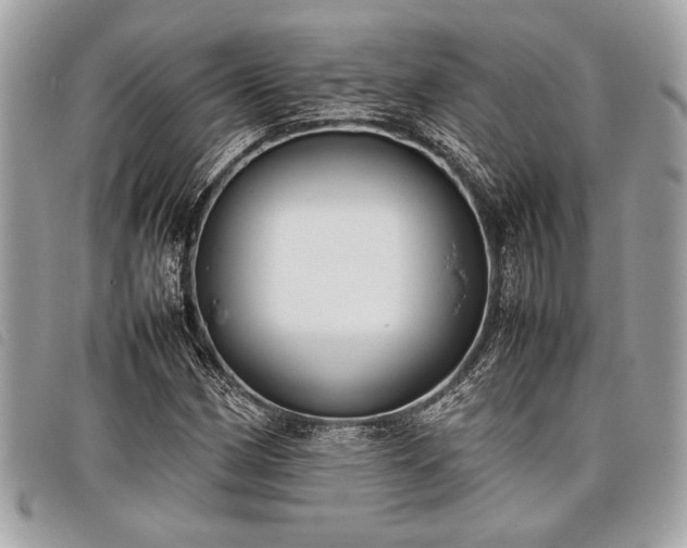 X0000098021162200804071346