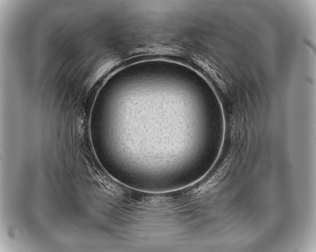 X0000098021163200804071346