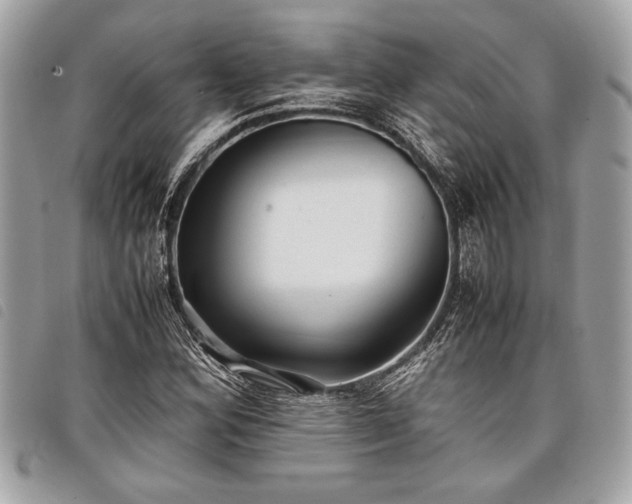 X0000098021164200804071346