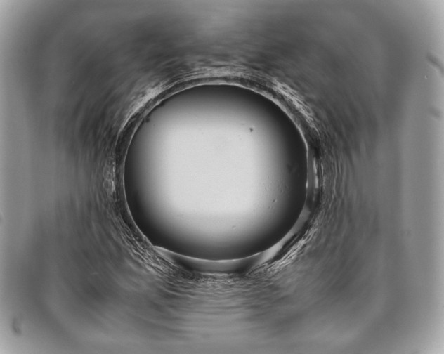 X0000098021165200804071346