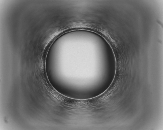 X0000098021167200804071346