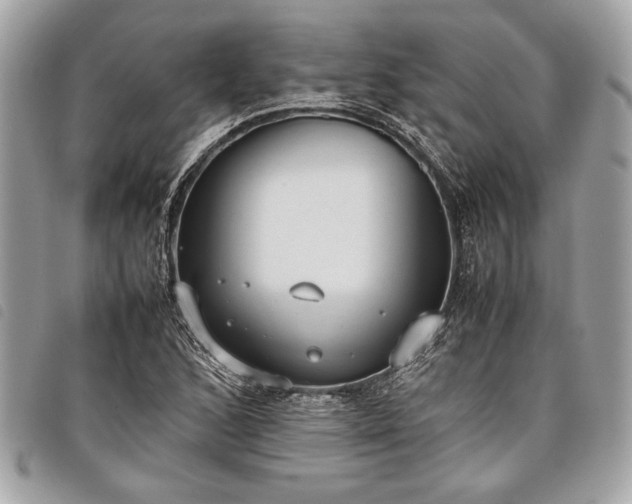 X0000098021168200804071346