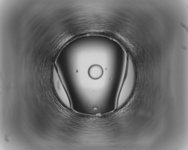 X0000098021169200804071346