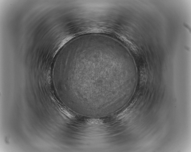 X0000098021170200804071346