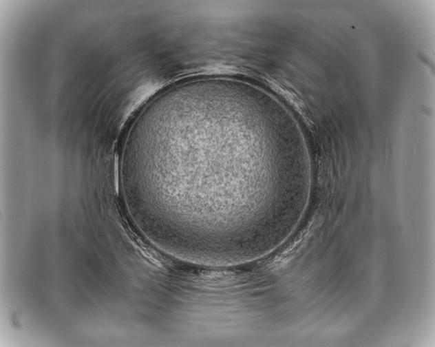 X0000098021171200804071346