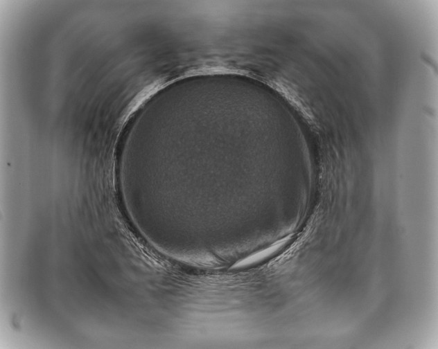 X0000098021173200804071346