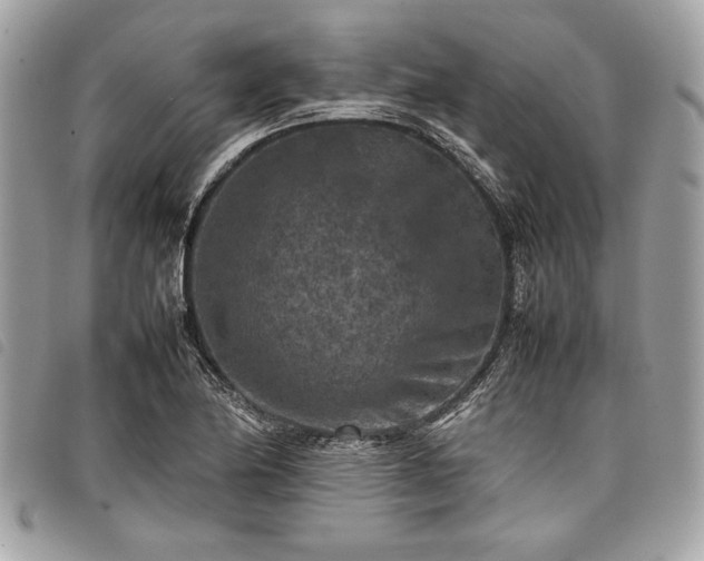 X0000098021174200804071346