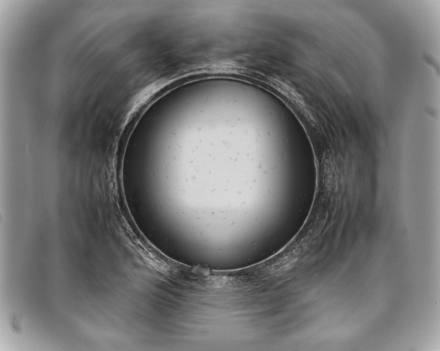 X0000098021176200804071346