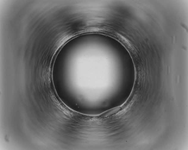 X0000098021178200804071346