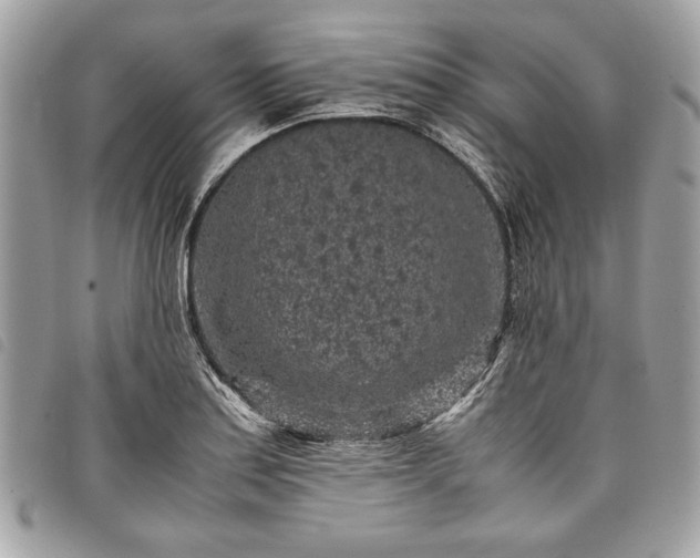 X0000098021179200804071346