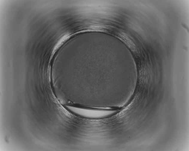 X0000098021180200804071346