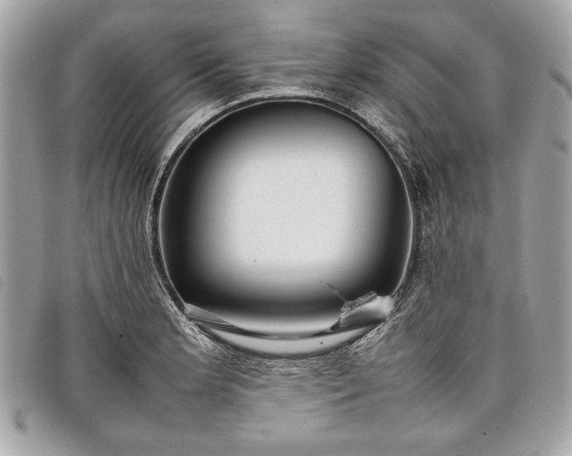 X0000098021181200804071346