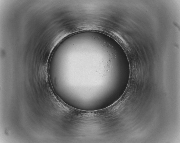 X0000098021182200804071346