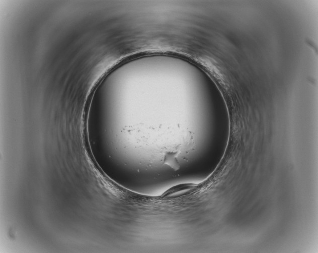 X0000098021183200804071346