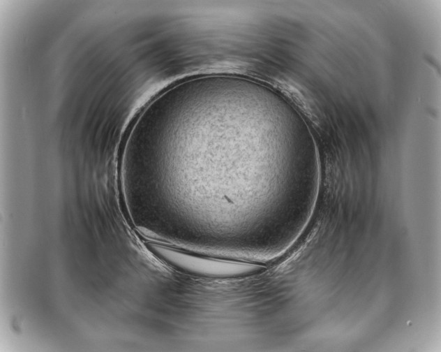 X0000098021184200804071346