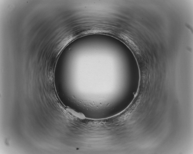 X0000098021185200804071346