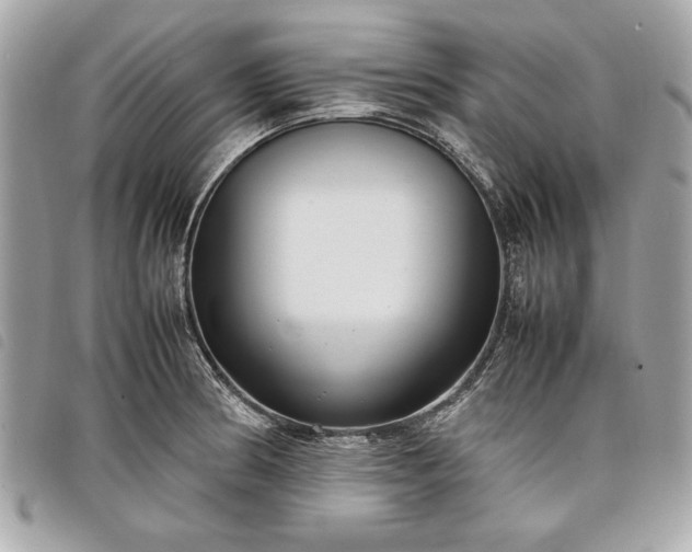 X0000098021186200804071345