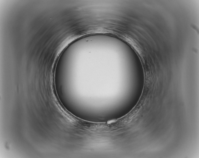 X0000098021187200804071345