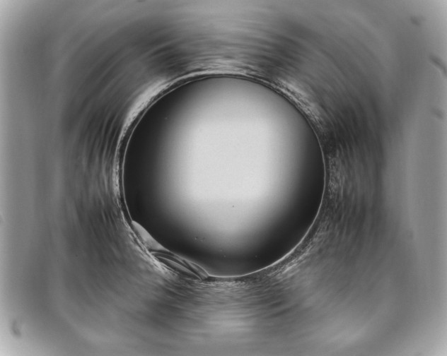 X0000098021188200804071345