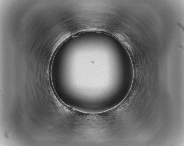 X0000098021189200804071345