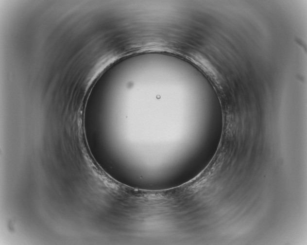 X0000098021190200804071345