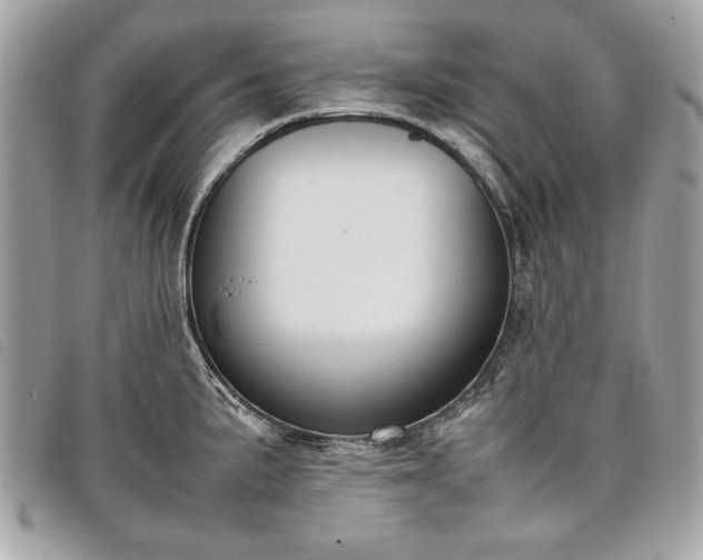 X0000098021191200804071345