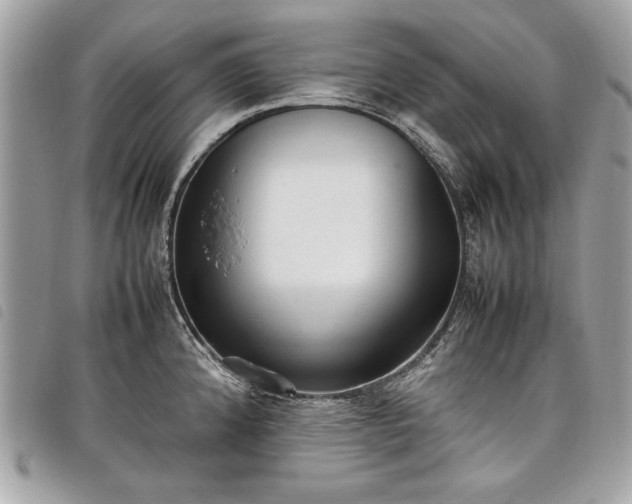 X0000098021192200804071345