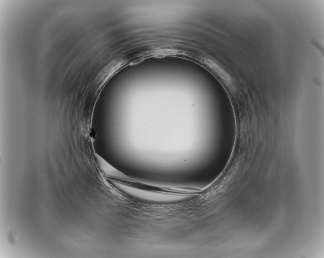 X0000098021193200804071345