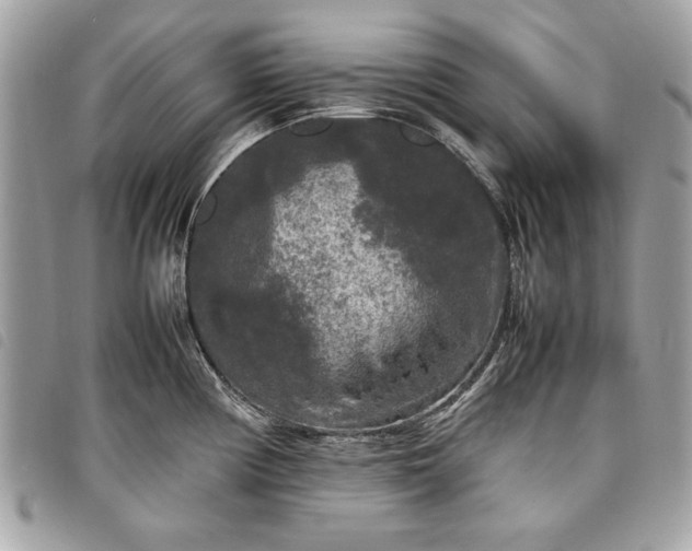 X0000098021194200804071345