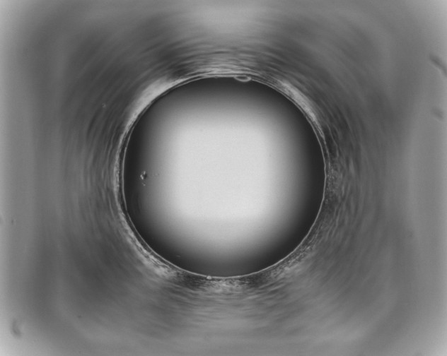 X0000098021195200804071345