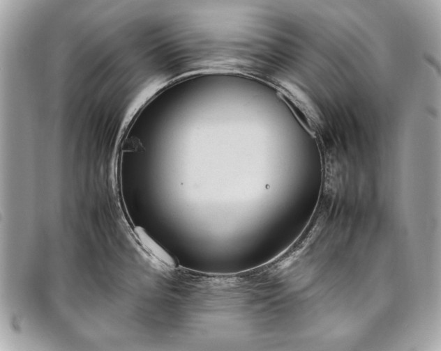 X0000098021196200804071345