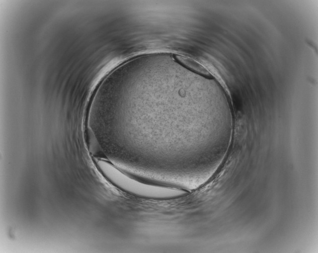 X0000098021197200804071345