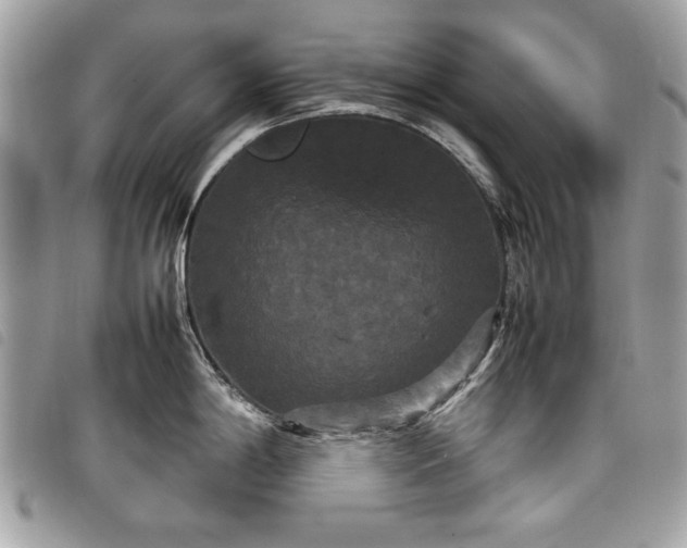 X0000098021198200804071345