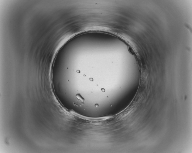 X0000098021199200804071345