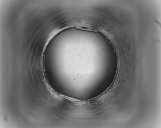 X0000098021200200804071345