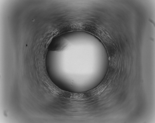 X0000098021201200804071345