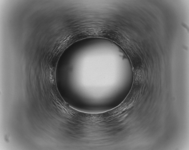 X0000098021202200804071345