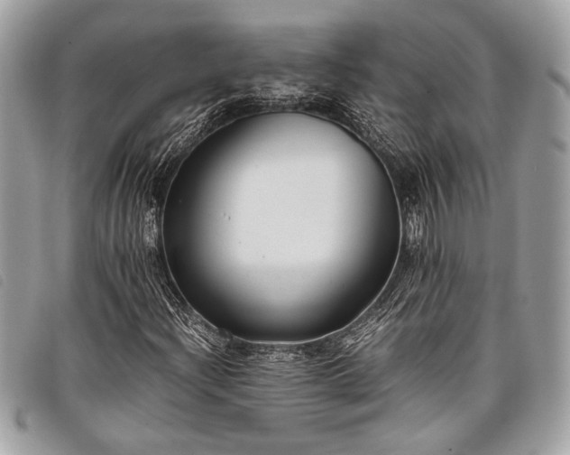 X0000098021204200804071345